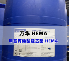 甲基丙烯酸羟乙酯 HEMA 2-HEMA